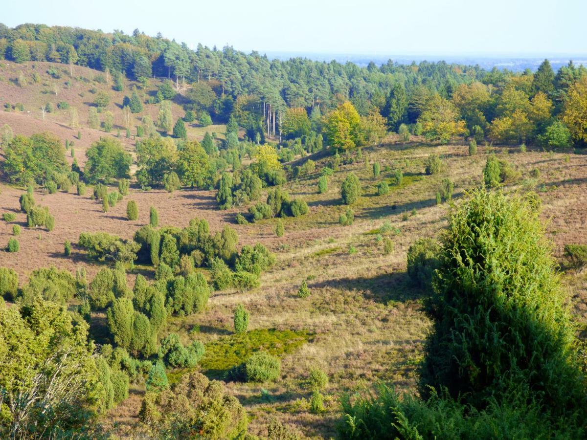 Fewo-Mundi Egestorf Buitenkant foto