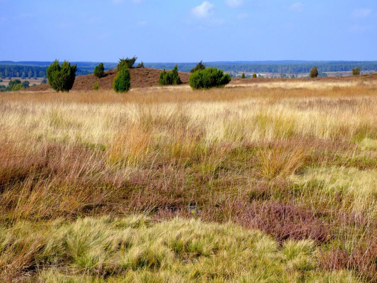 Fewo-Mundi Egestorf Buitenkant foto