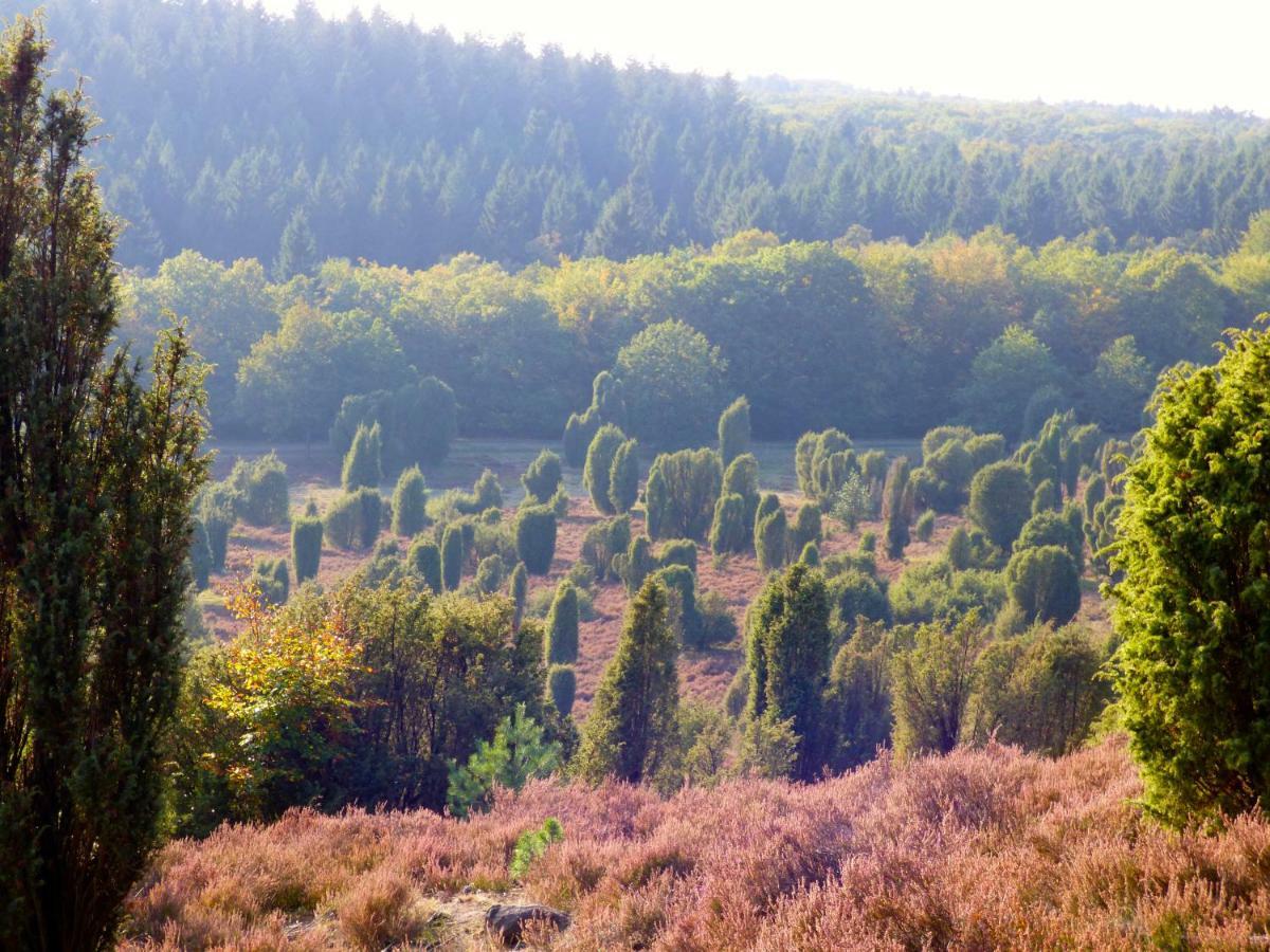 Fewo-Mundi Egestorf Buitenkant foto