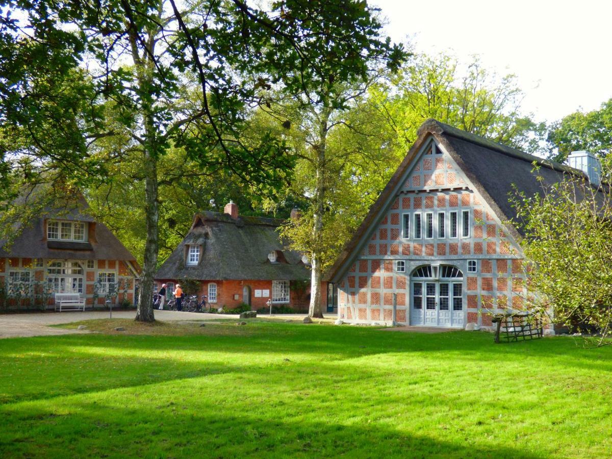 Fewo-Mundi Egestorf Buitenkant foto